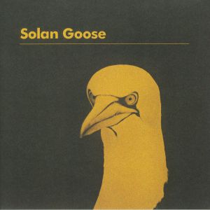Solan Goose