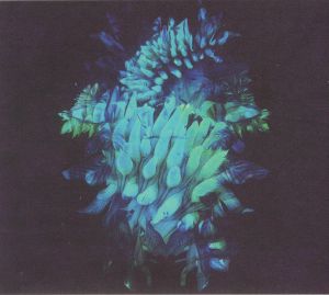All Glows