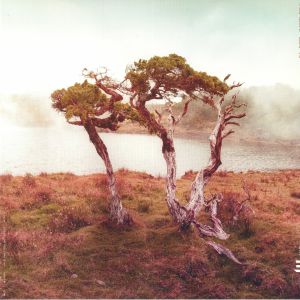 Juniper