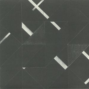 Terra Modis EP