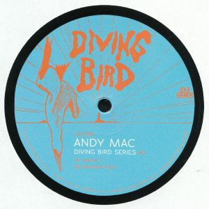 Diving Bird Series #3