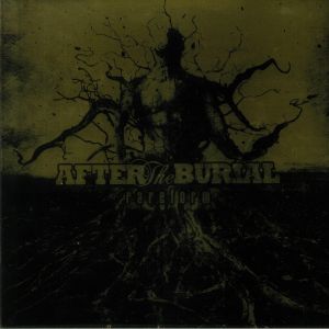 Rareform: 10 Year Anniversary