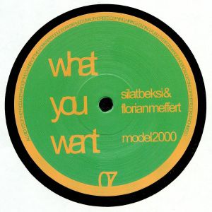 Model 2000
