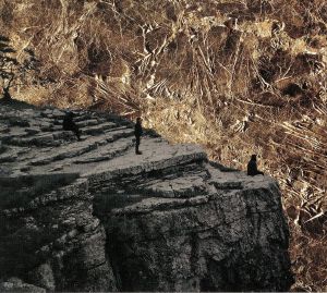 Nowhere