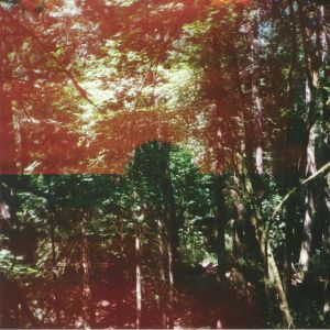 In Summer