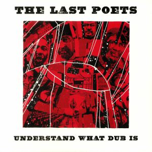 Understand What Dub Is (Prince Fatty dubs)