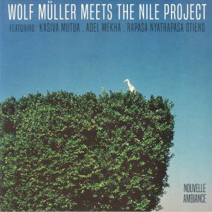 Wolf Muller Meets The Nile Project EP