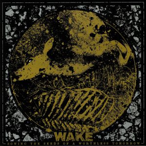 Sowing The Seeds Of A Worthless Tomorrow (reissue)