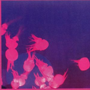 Moogie EP