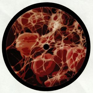 Rebirth EP
