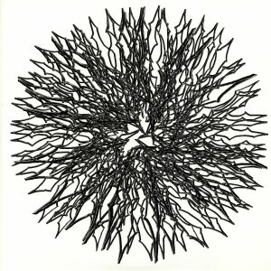 Dyson Sphere