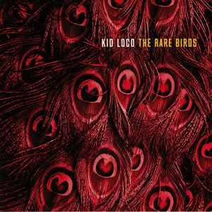 The Rare Birds