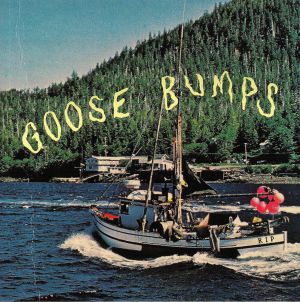 Goose Bumps