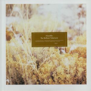 The Brilliant Tabernacle
