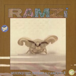 Multiquest Niveau 1: Camoufle