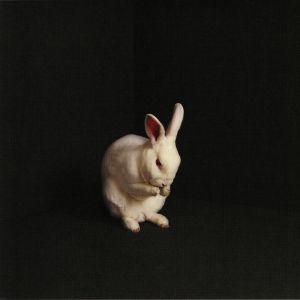 Rabbits
