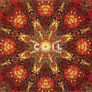 Stolen & Contaminated Songs (reissue)