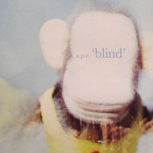 Blind
