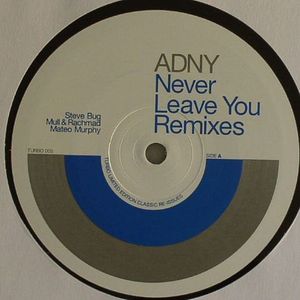 Never Leave You (remixes)