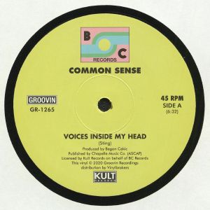 Voices Inside My Head