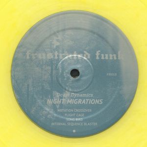 Night Migrations
