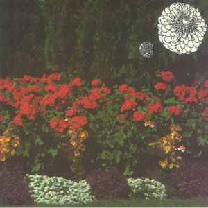 Annual Flowers In Color