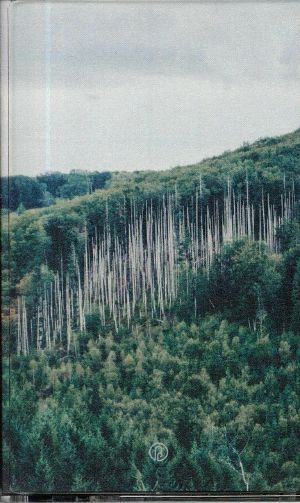Morvan