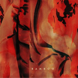 Bamboo
