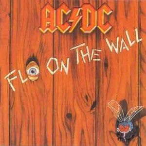 Fly On The Wall (reissue)