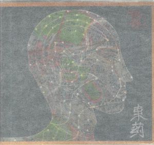 Eastern Medicine Western Illness