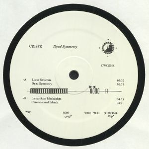 Dyad Symmetry EP