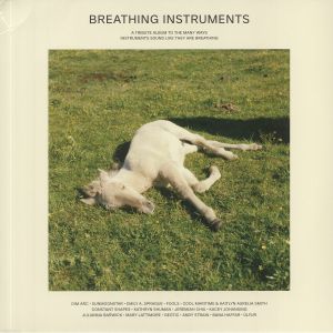 Breathing Instruments