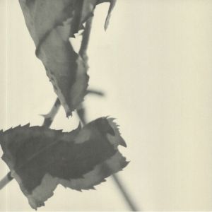 Grafts (expanded reissue)