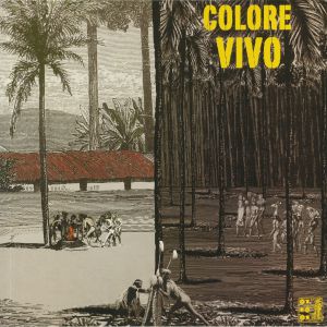 Colore Vivo