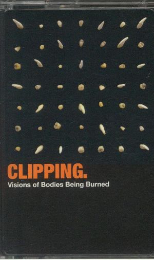 Visions Of Bodies Being Burned