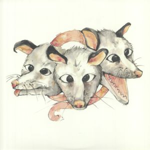 Opossums