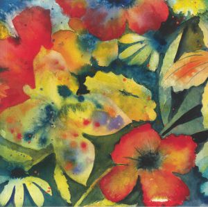 Adrianne Lenker - Songs & Instrumentals