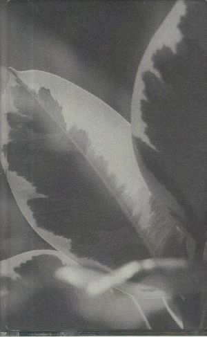 Nature Morte