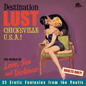 VARIOUS - Destination Lust Chicksville USA: 38 Erotic Fantasies From The Vaults