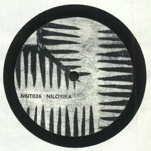 Ejokawulida