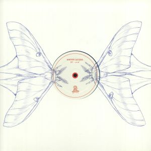 Vinyan (remixes)