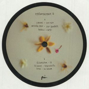 Efflorescence II