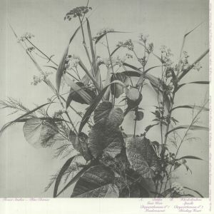 Flower Studies