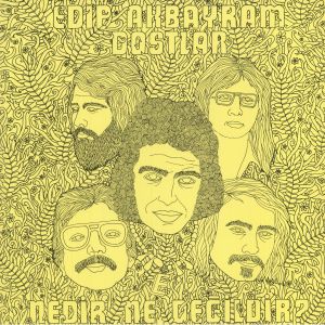 Nedir Ne Degildir? (reissue)