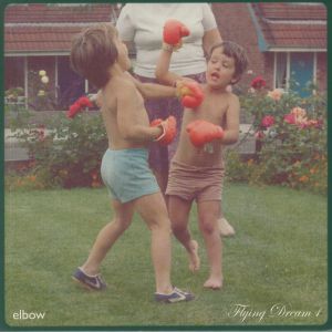 Elbow - Flying Dream 1