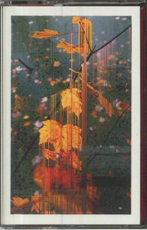 Color Of Time