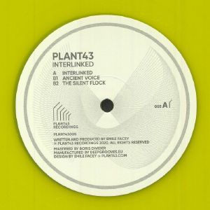 Interlinked (B-STOCK)