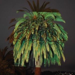 Acid Escape Vol 3