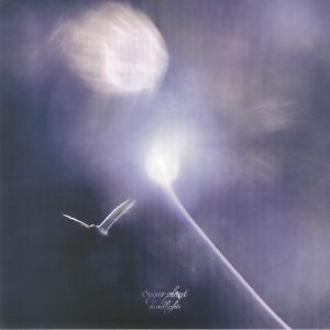 Headlights