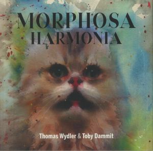 Morphosa Harmonia